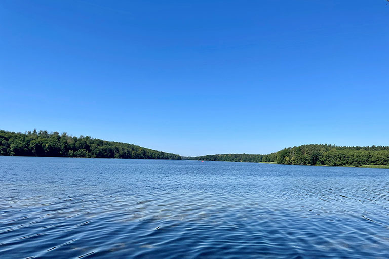 Blick über die leicht gewellte Wasseroberfläche eines Sees, der von dichten, grünen Wäldern eingerahmt wird, an einem sonnigen Tag unter strahlend blauem Himmel.