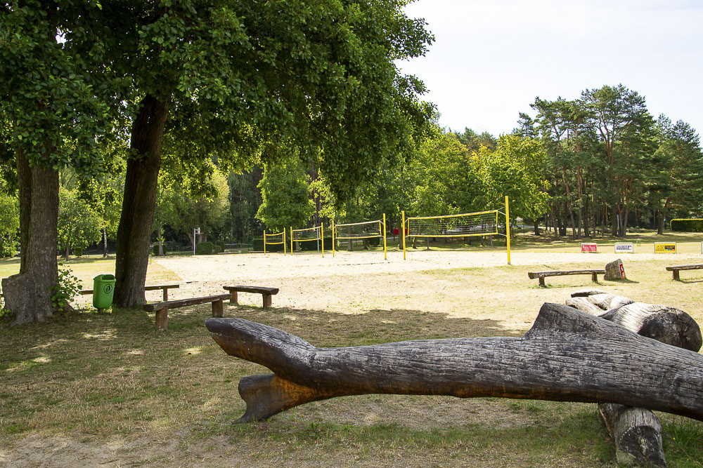 Mehrere Beachvolleyballfelder mit gelben Pfosten und Netzen erstrecken sich auf einer sandigen Fläche im Strandbad Wolletzsee. Im Vordergrund liegen massive Baumstämme auf dem Gras, während große Laubbäume und ein dichter Kiefernwald im Hintergrund Schatten spenden.